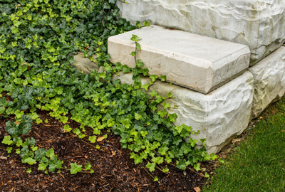 Refined image lawn and landscape, softscapes, snow & ice, lawn cutting & maintenance, residential & commercial lawn care, dunnville, ON